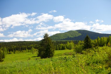 Yaz manzara. Ural Dağları