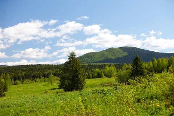 Paesaggio estivo. Montagne degli Urali — Foto Stock