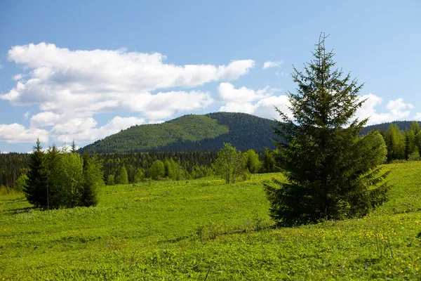 Summer landscape. Ural mountains — Stock Photo, Image