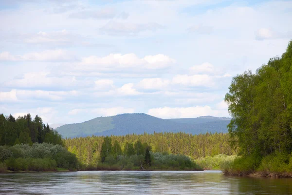 Summer landscape. River Vishera — Stock Photo, Image