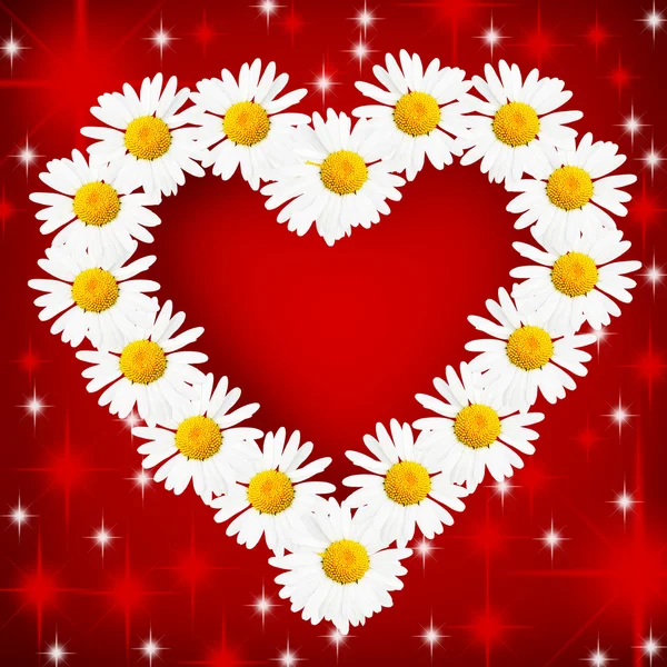 Daisy Heart — Stock Photo © Zoooom 1425653