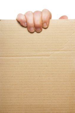 Hand holding blank cardboard