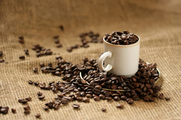 ᐈ Cafe colombiano imágenes de stock, fotos cafe colombiano | descargar