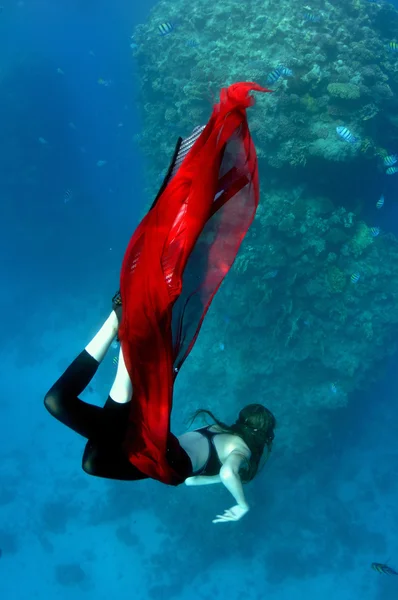 Mořská panna — Stock fotografie