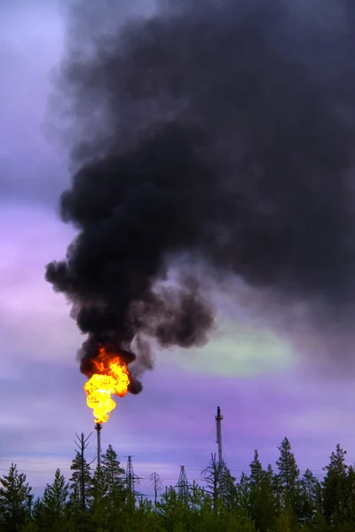 Gas fakkel in west-Siberië. — Stockfoto