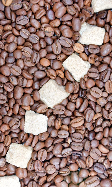 Sucre de canne et grains de café — Photo