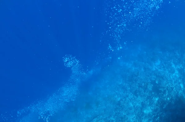 Пузыри от большого синего — стоковое фото