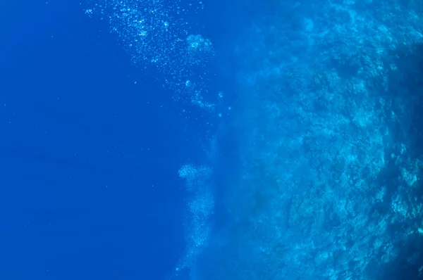 Blasen aus großen blauen — Stockfoto