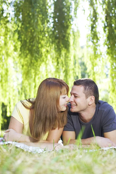 Portrait of cheerful couple Stock Picture