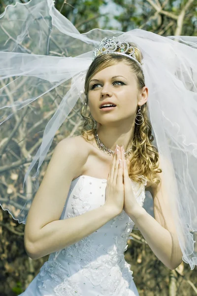 Молящаяся невеста — стоковое фото
