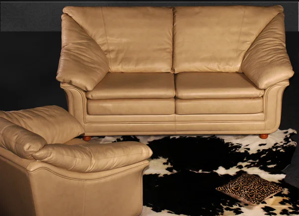 Κομψή σχεδίαση με σύγχρονο καναπέ — Φωτογραφία Αρχείου