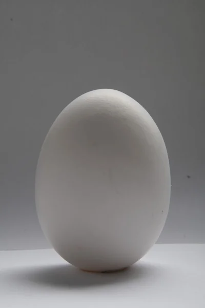 Σπασμένο αυγό κέλυφος σε άσπρο φόντο — Φωτογραφία Αρχείου