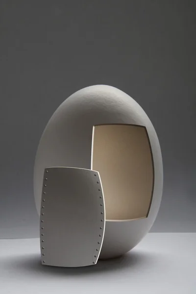Broken egg shell on white background — Stock Photo, Image
