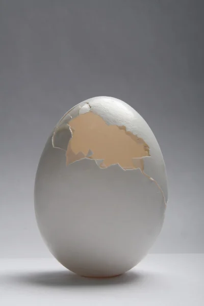 Guscio rotto uovo su sfondo bianco — Foto Stock