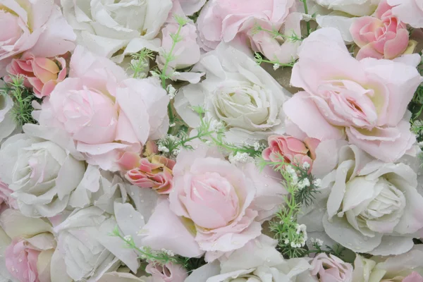 白玫瑰的背景 — 图库照片