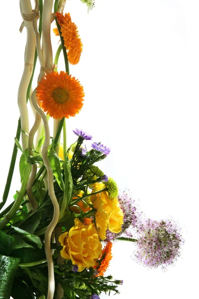 Composición florística —  Fotos de Stock