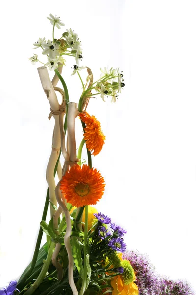Composição florística — Fotografia de Stock