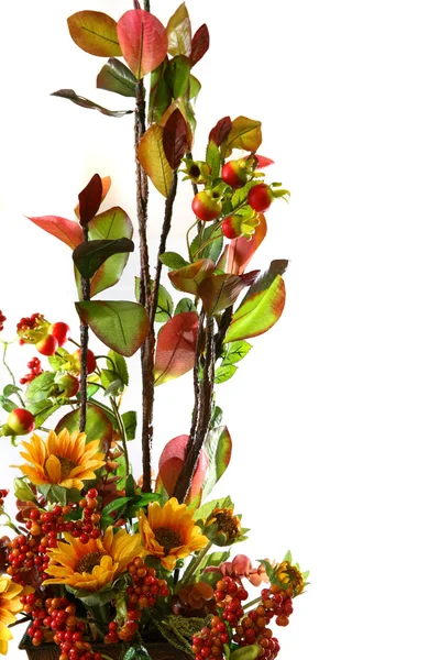 Floristische Komposition — Stockfoto