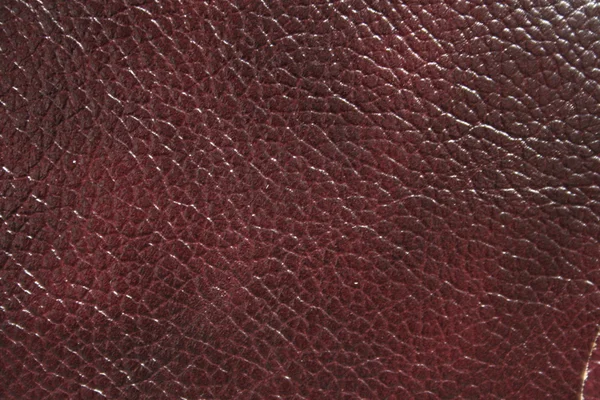 Textura de um couro — Fotografia de Stock
