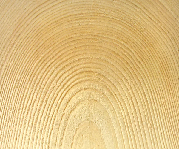 stock image Wood, texture