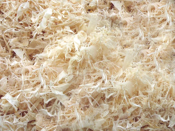 stock image Wood shavings