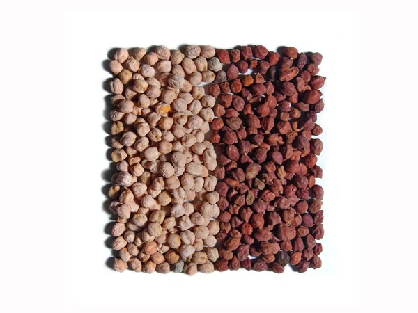 ひよこ豆のホワイト ・ ブラウン — ストック写真