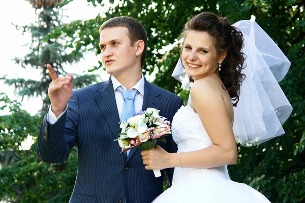 Casamento — Fotografia de Stock