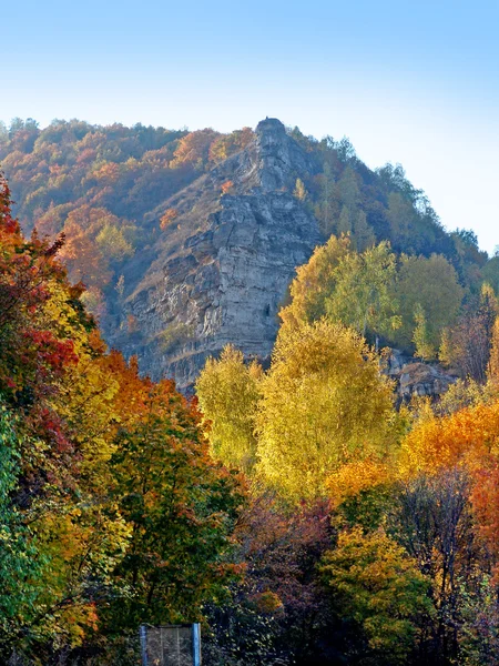 stock image National park