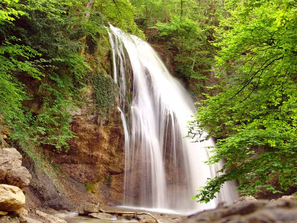 Stock image Forest watrfall