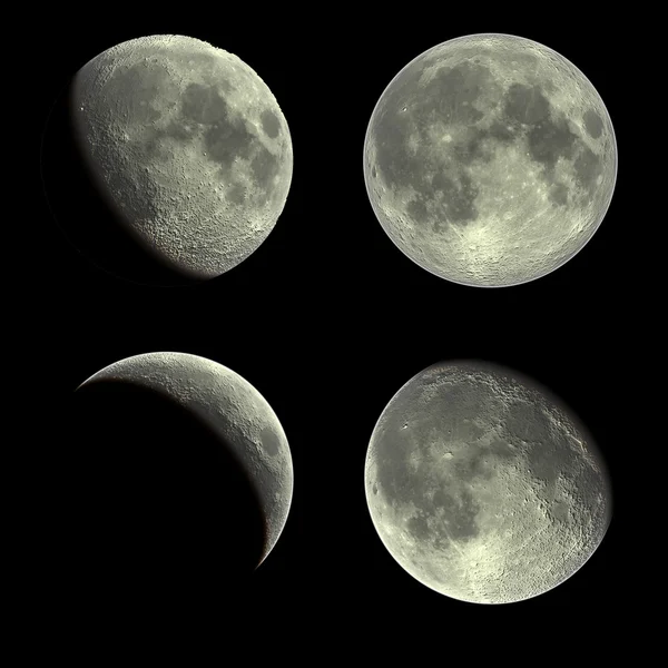 Luna — Stok fotoğraf