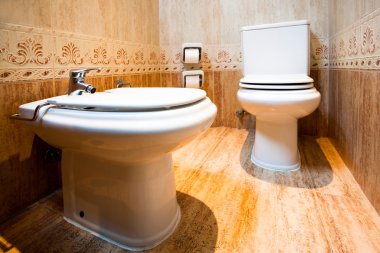 Toilet and bidet in the modern bathroom clipart