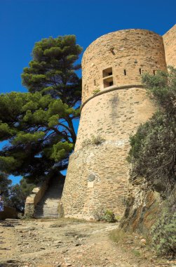 merdiven ormandaki Kalesi