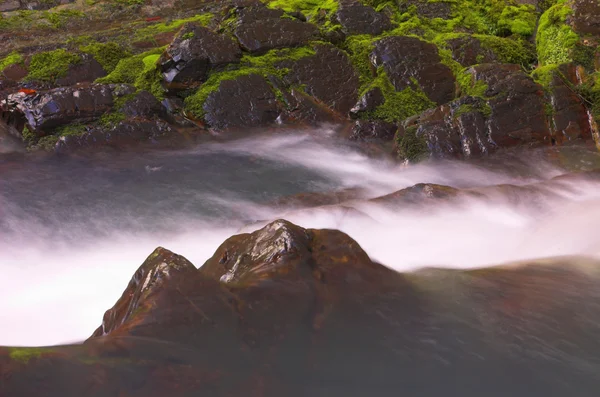 Дикий водопад и мох — стоковое фото
