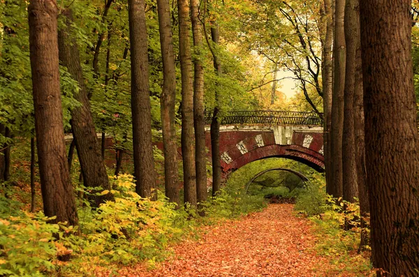 Кирпичный мост в осеннем лесу — стоковое фото