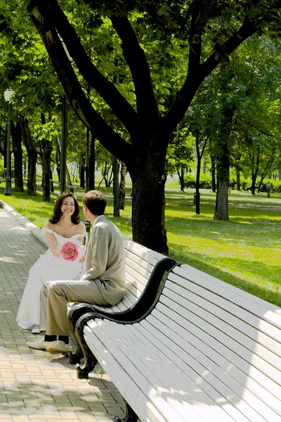 Married couple on the branch — Stock Photo, Image