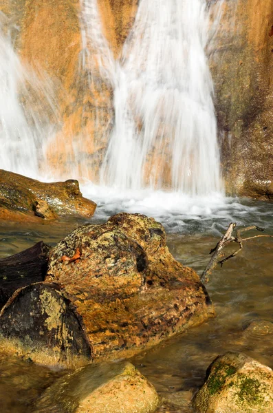 Waterfall and numskul — Stock Photo, Image