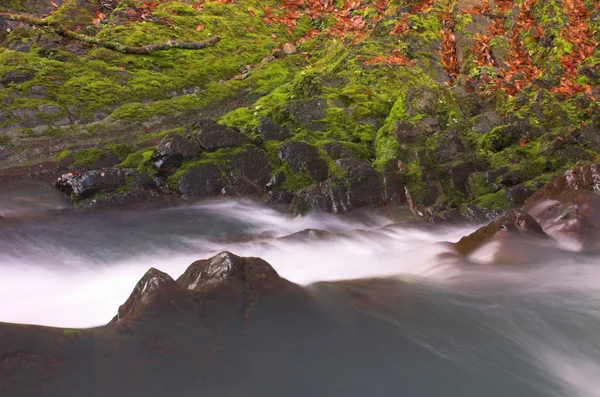 Cachoeira com o musgo — Fotografia de Stock