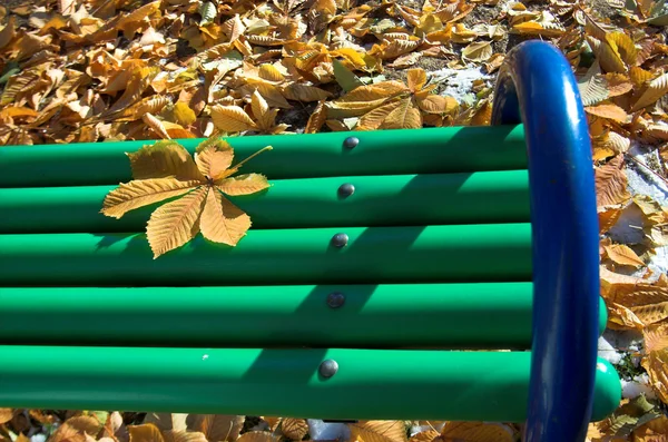 Зелена лавка крупним планом в парку — стокове фото
