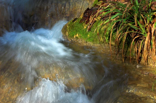 Водопад и зеленые листья — стоковое фото