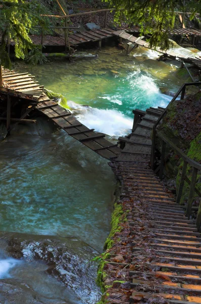Cachoeira e Y-srairs — Fotografia de Stock