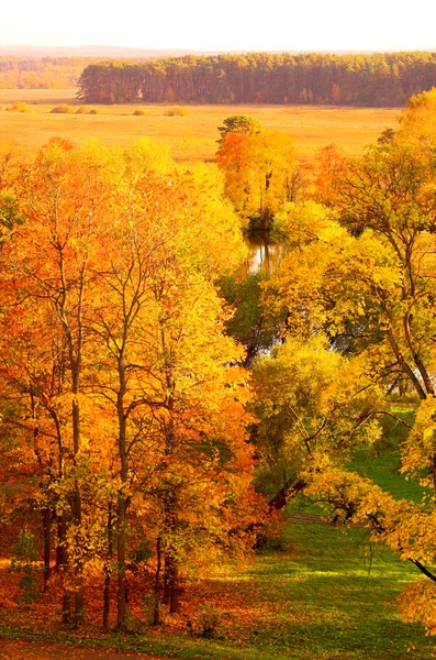 Orange autumn park — Stock Photo, Image