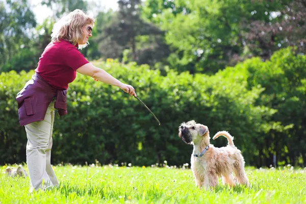 Γυναίκα διαφήμιση το σκύλο για την πράσινη χλόη — Φωτογραφία Αρχείου