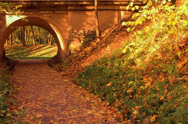 Ponte de tijolo na floresta de outono — Fotografia de Stock