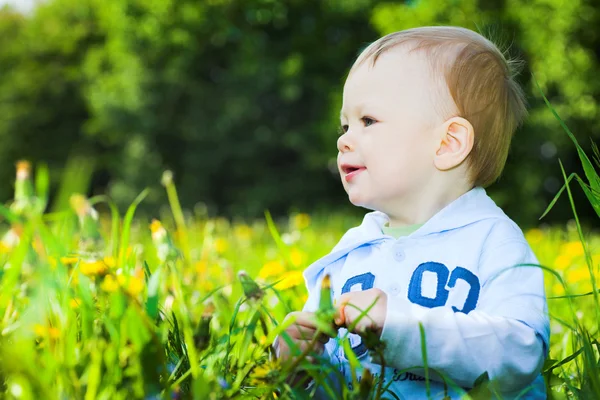 Baby boy play with dandelions — Stock Photo, Image