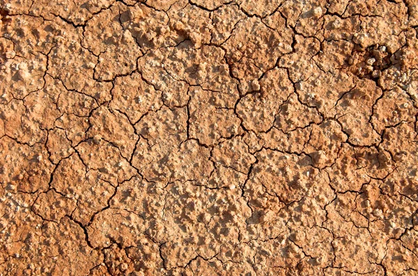 Неровная почва — стоковое фото