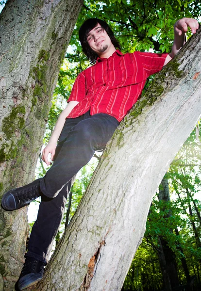 Chłopiec siedzenia na drzewie — Zdjęcie stockowe