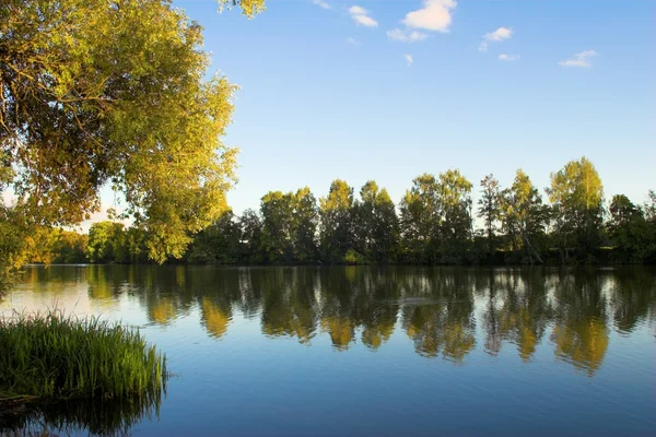 stock image Lake , trees and blue sky with clouds