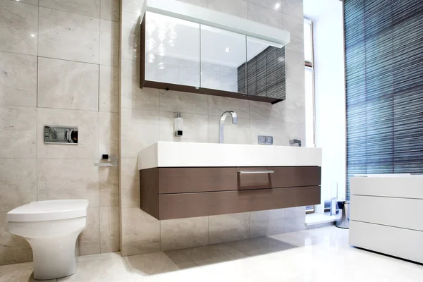 Badezimmer mit Spiegel und Pfanne lizenzfreie Stockfotos