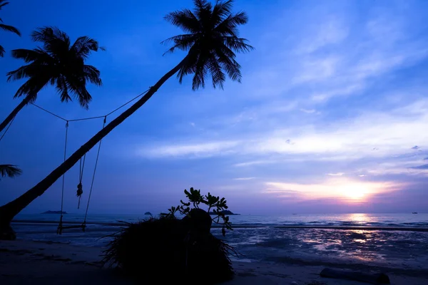 Hindistan cevizi avuç içi ve salıncakta kum plaj — Stok fotoğraf