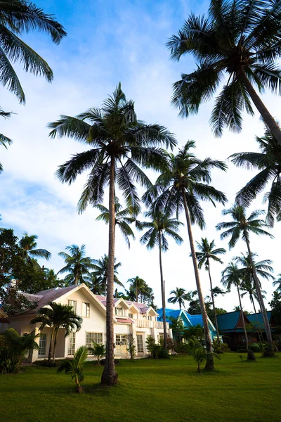 Nowoczesne bungalowy i palmy — Zdjęcie stockowe